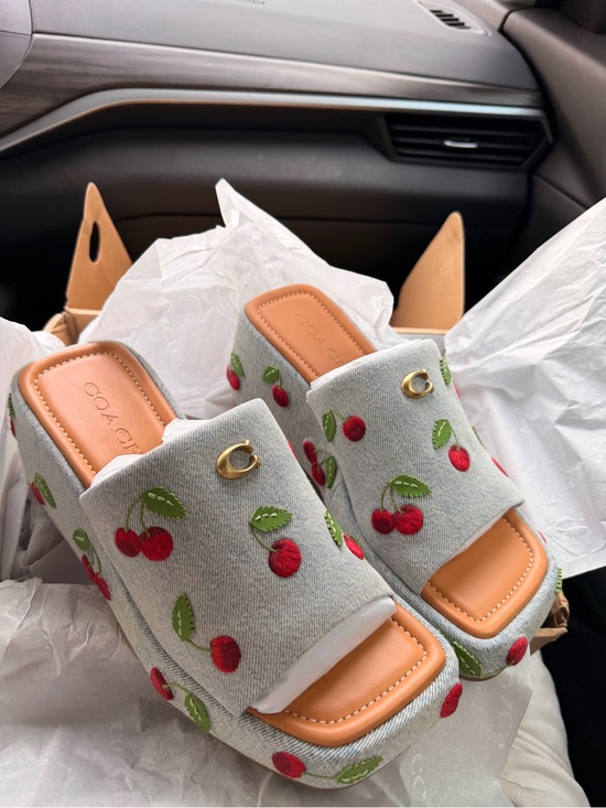 Coach Shoes - Coach Light Gray Cherry Embroidered Slide Mules